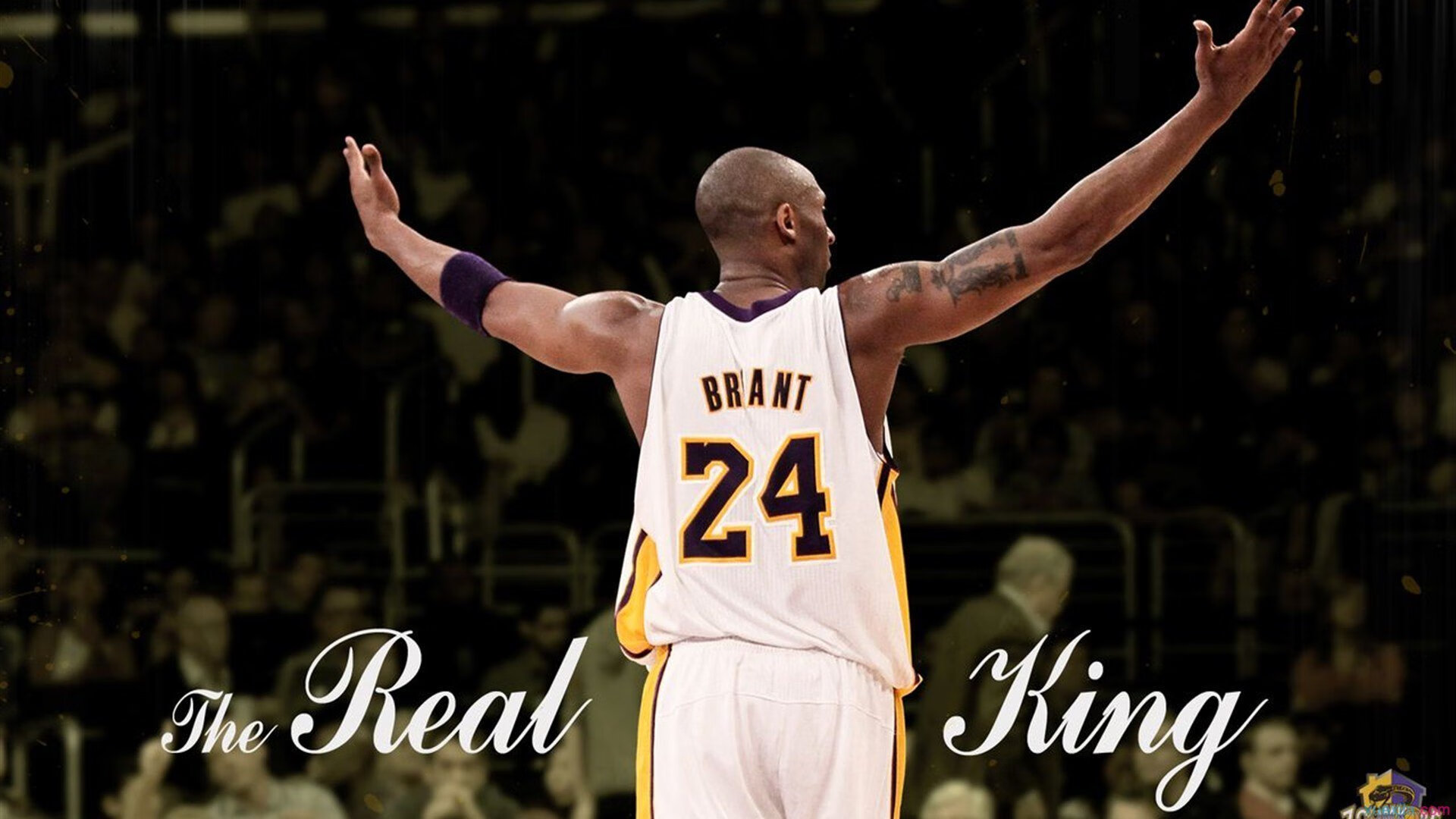 约基奇防守端锁死对手,猛龙团队压制雄鹿,现代篮球的攻防启示录